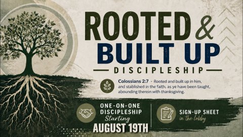 Rooted & Built Up Discipleship Starting August 19th
